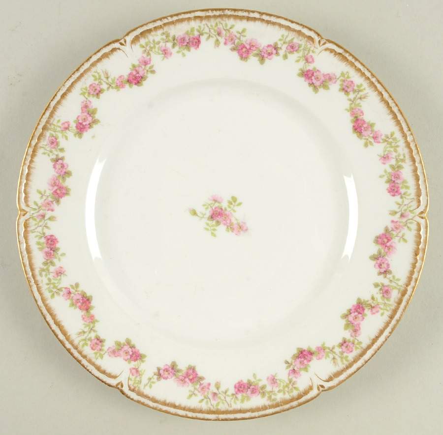 CHF2004 Dinner Plate by Charles Field Haviland-1