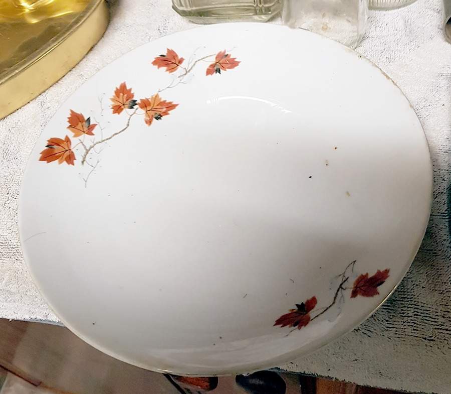 CX856 Dinner Plate by China (Made in China)-1