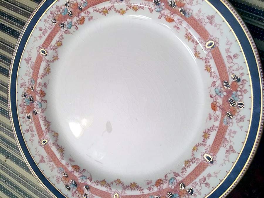 Blenheim (Navy Blue Band, Multicolor) Dinner Plate by F Winkle-1