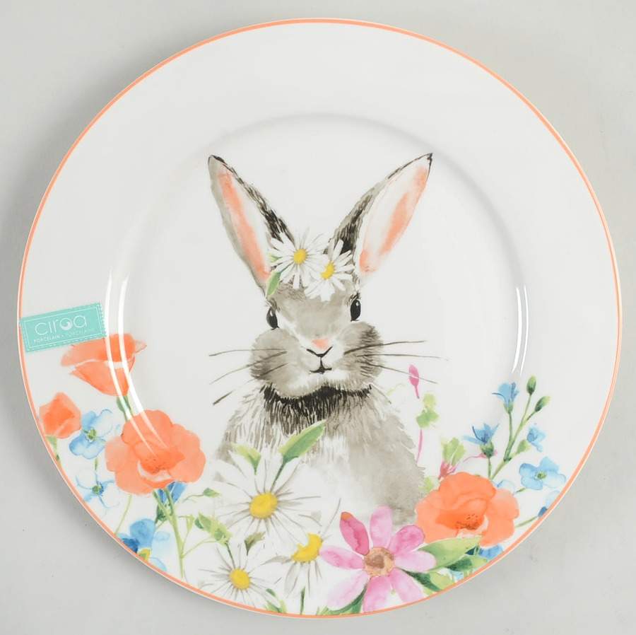 C9A20 Dinner Plate by Ciroa-1