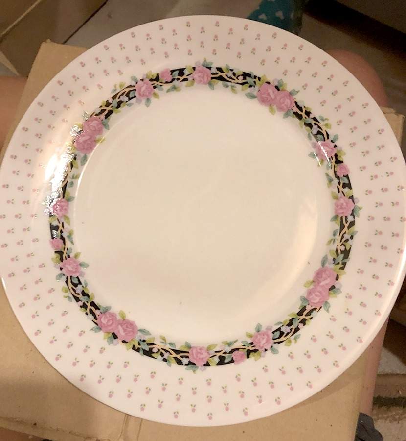 Regina Dinner Plate by Celebrity-1
