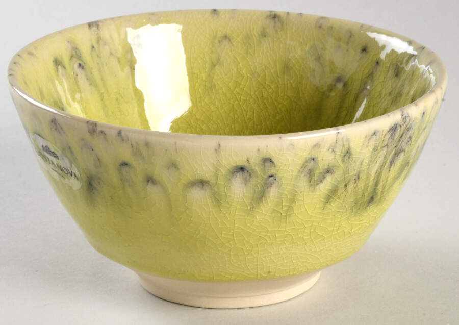 Madeira Lemon Soup/Cereal Bowl by Costa Nova China-1
