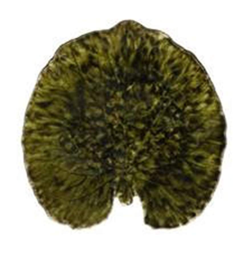 Riviera Forets (Dark Green) 7" Leaf Dish by Costa Nova China-1