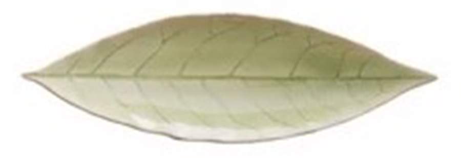 Riviera Vert Frais (Green & Black) 7" Leaf Dish by Costa Nova China-1