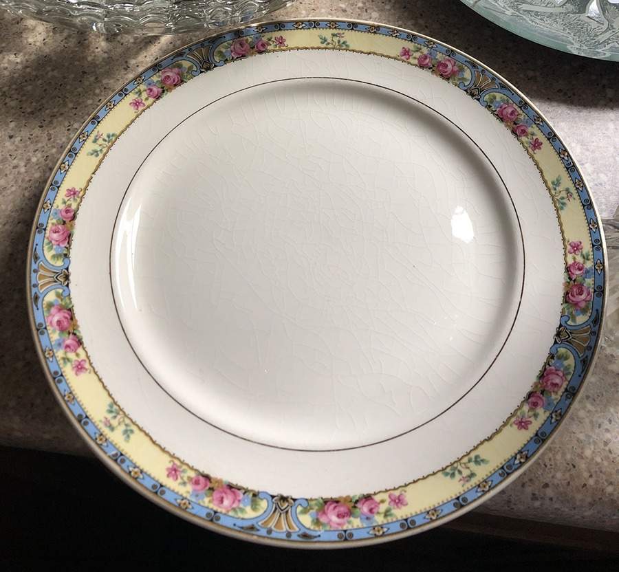 531 Dinner Plate by Crooksville-1