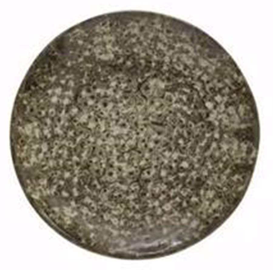 Toscana Brown (Funghi) Salad Plate by Casafina-1