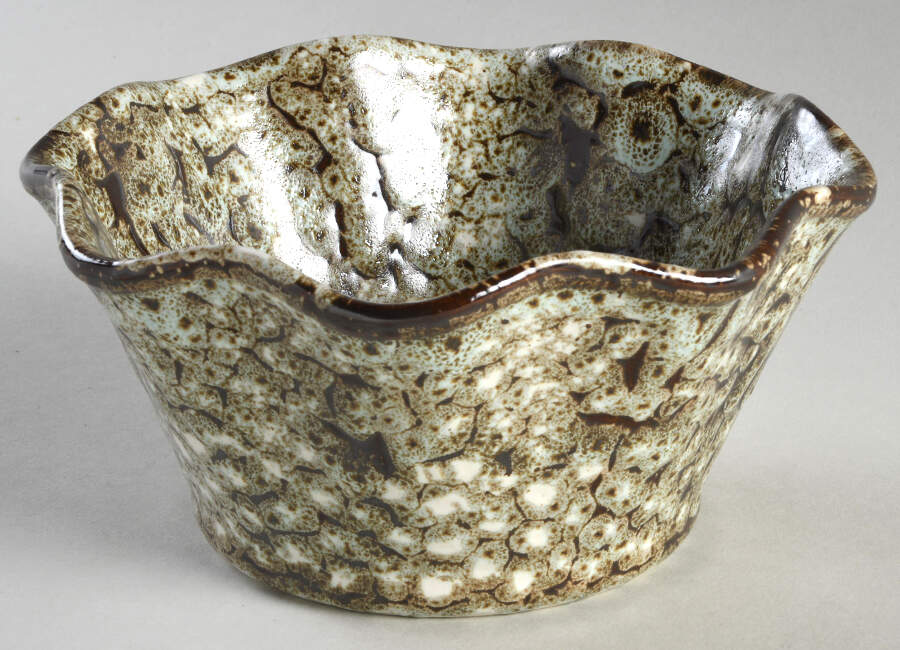 Toscana Brown (Funghi) Soup/Cereal Bowl by Casafina-1