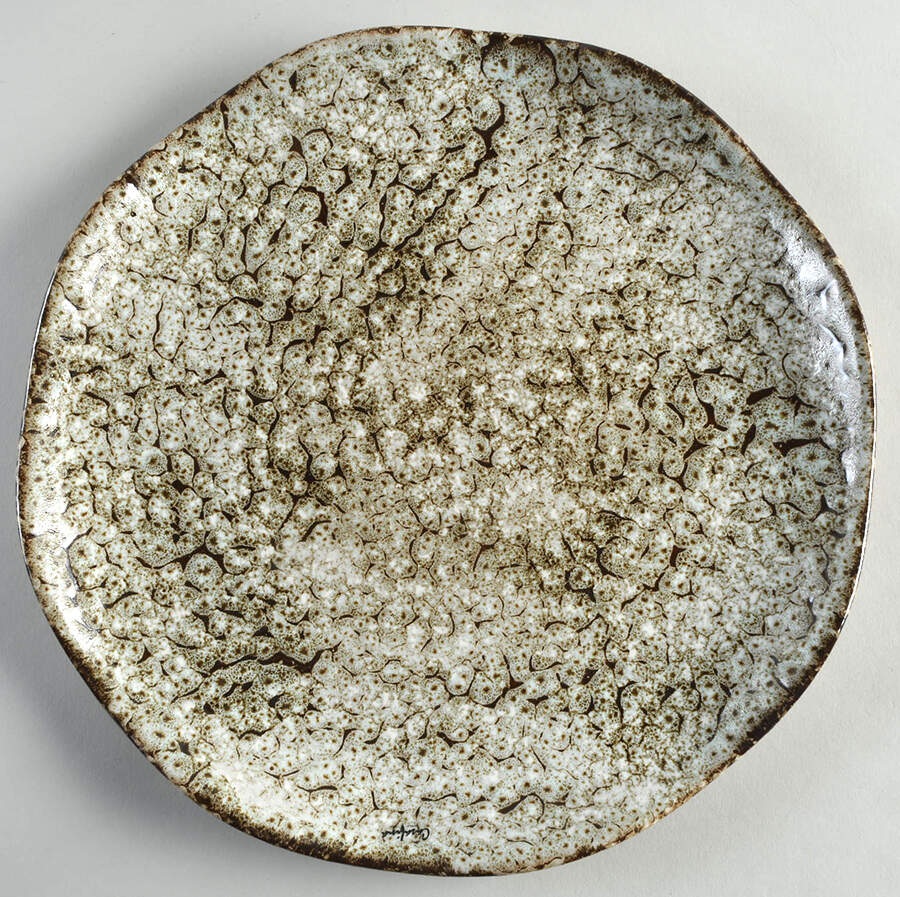 Toscana Brown (Funghi) Dinner Plate by Casafina-1
