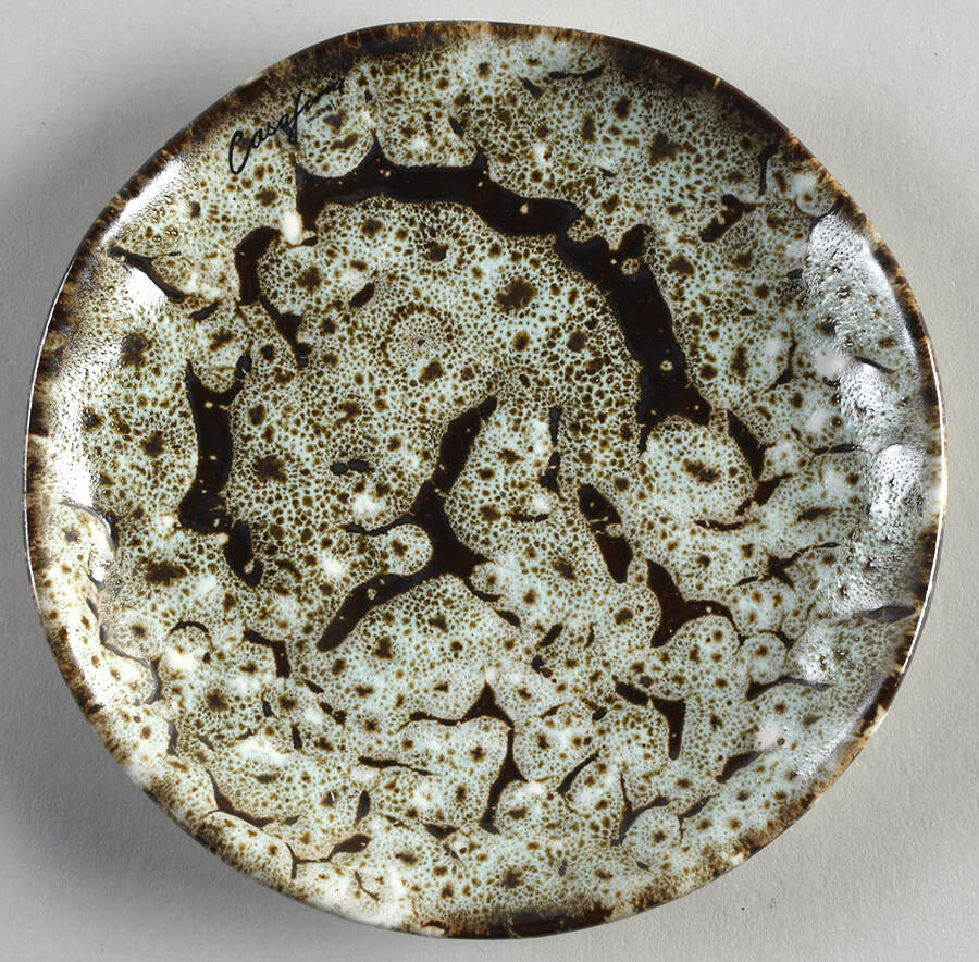 Toscana Brown (Funghi) Bread & Butter Plate by Casafina-1