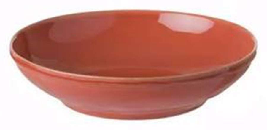 Fontana Paprika 9" Individual Pasta Bowl by Casafina-1