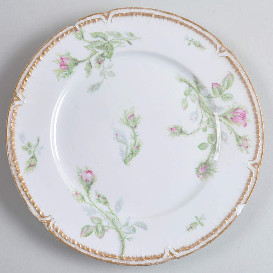 CHF2012 Salad Plate by Charles Field Haviland-1