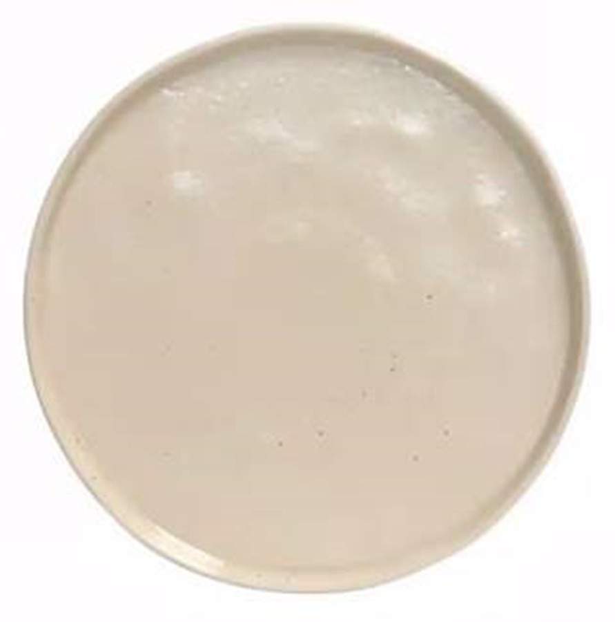 Lagoa Pedra Dinner Plate by Costa Nova China-1