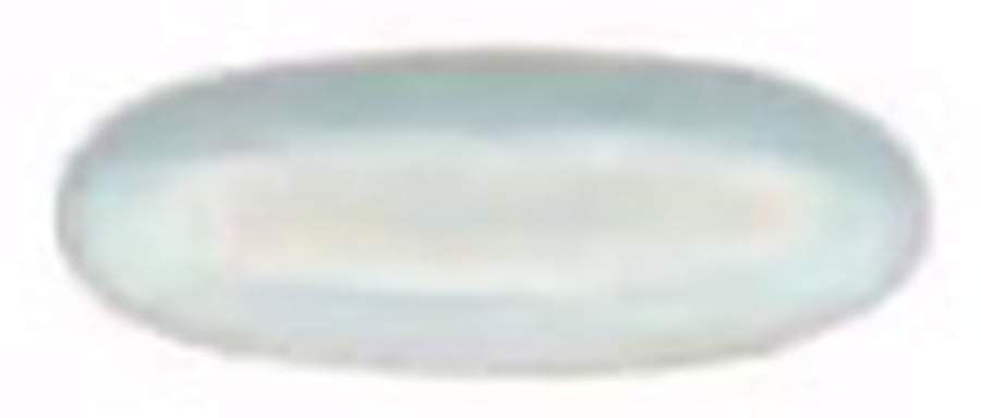 Brisa Sal 9" Oval Plate by Costa Nova China-1