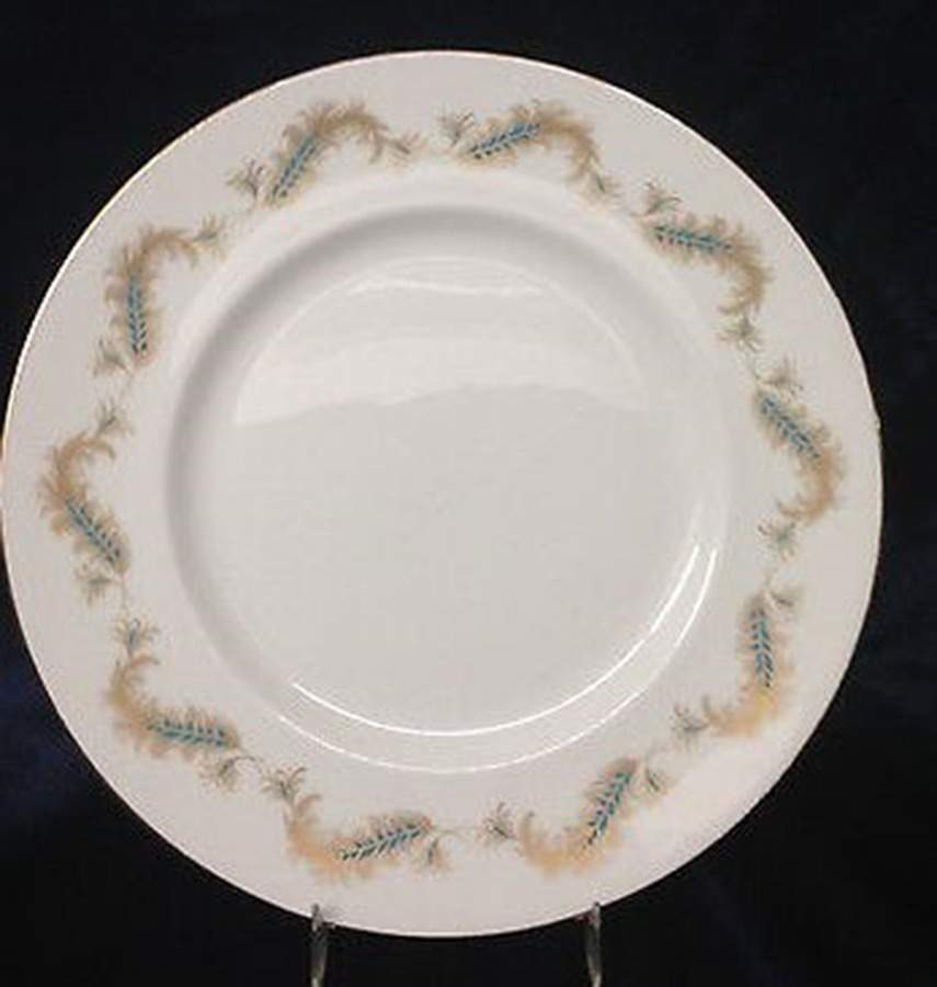 COA246 Dinner Plate by Coalport-1