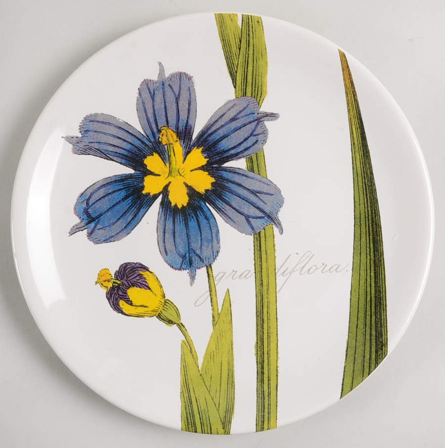 Botanical Floral Salad Plate by Certified International-1