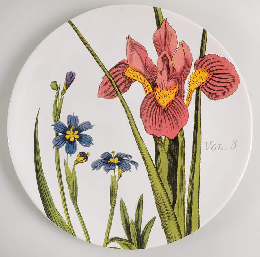 Botanical Floral Dinner Plate by Certified International-1