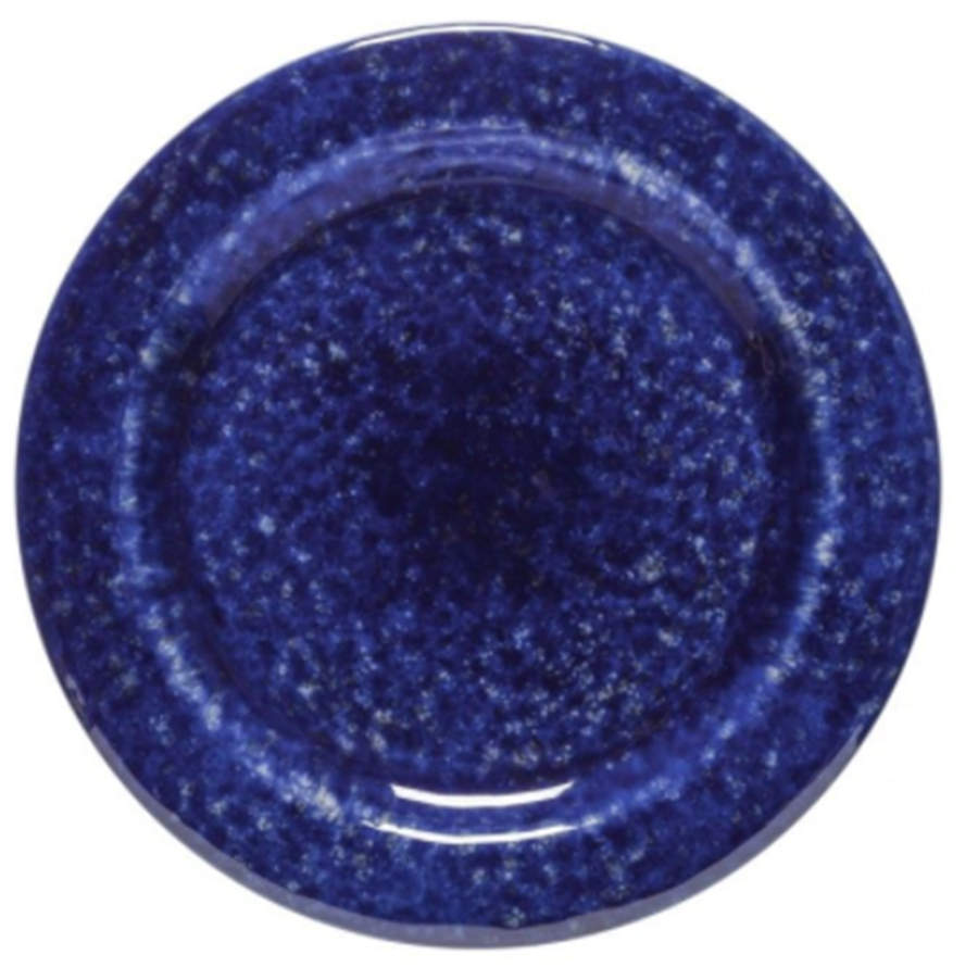 Abbey Dinner Plate by Casafina-1