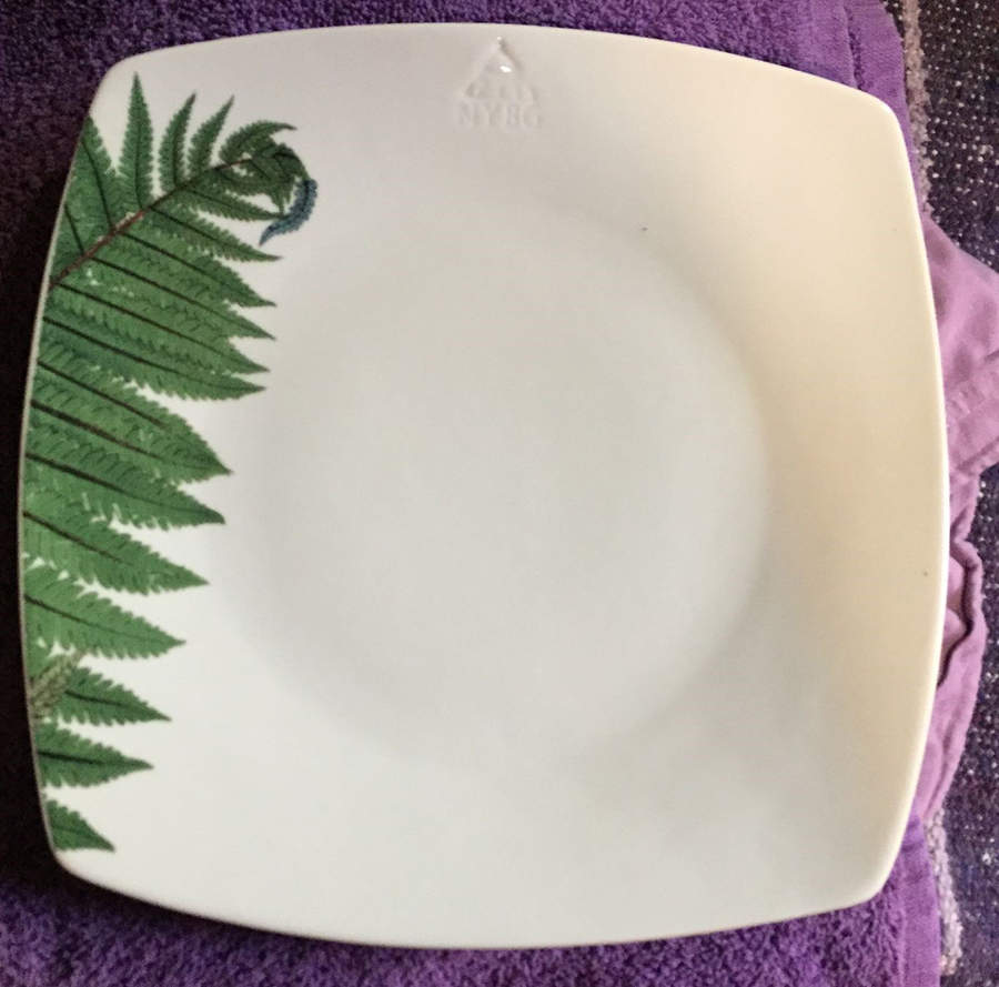 Filix Botanica Dinner Plate by China (Made in China)-1