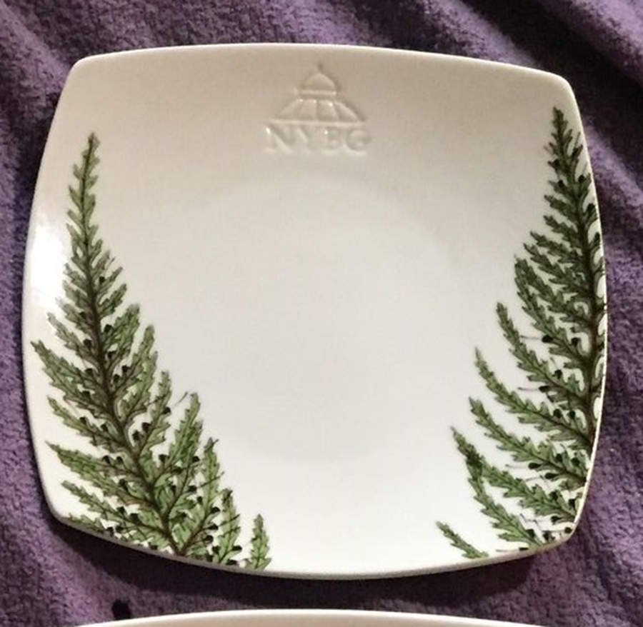 Filix Botanica Bread & Butter Plate by China (Made in China)-1
