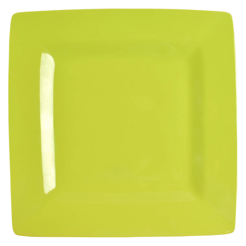 CIC209 Dinner Plate by Certified International-1