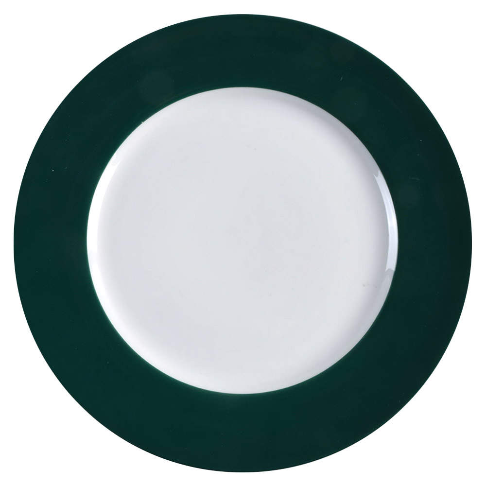 CBL196 Dinner Plate by Crate & Barrel-1