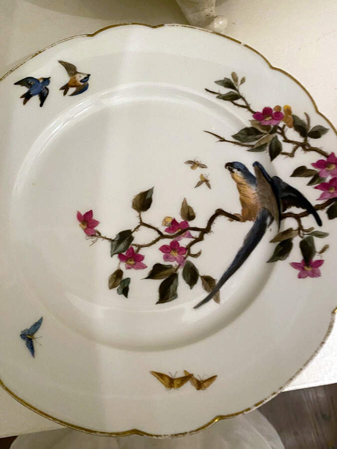 CHF2026 Dinner Plate by Charles Field Haviland-1