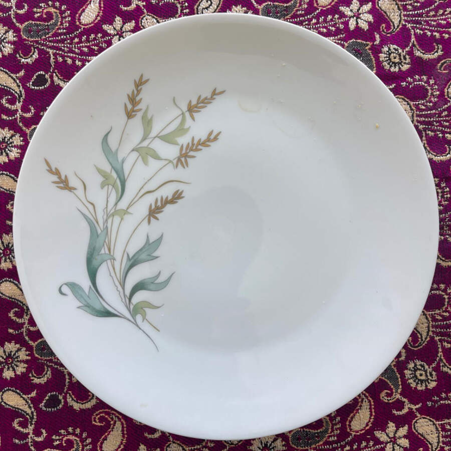 CHF2028 Dinner Plate by Charles Field Haviland-1