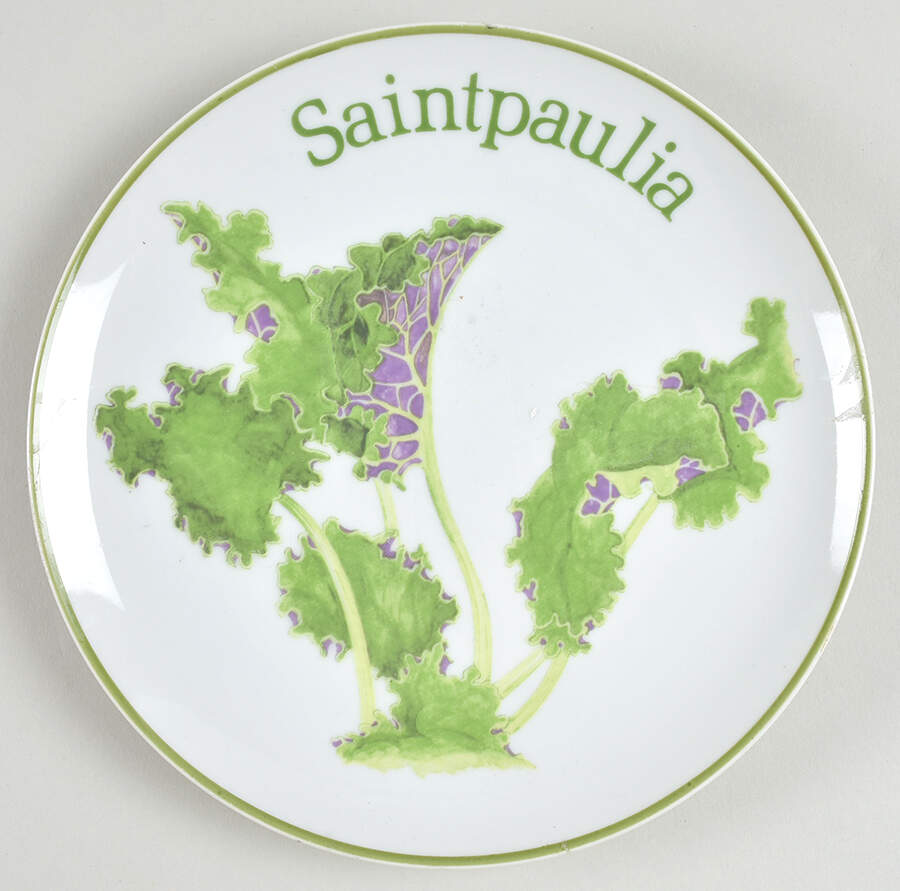 Garden Club Salad Plate by BIA Cordon Bleu-1