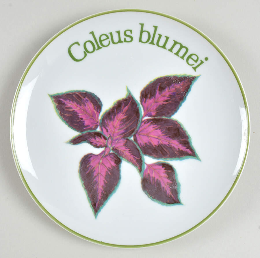 Garden Club Salad Plate by BIA Cordon Bleu-1