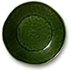 Verde Dinner Plate by Certified International-1