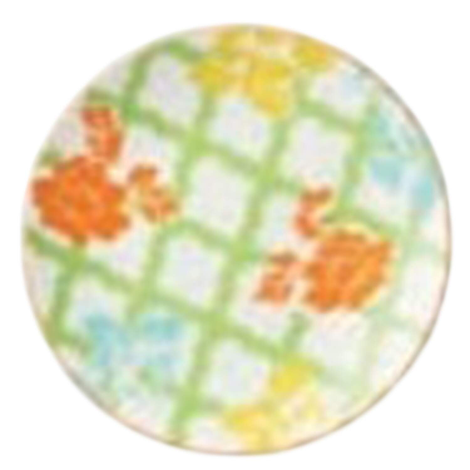 Pavilion Salad Plate by Certified International-1