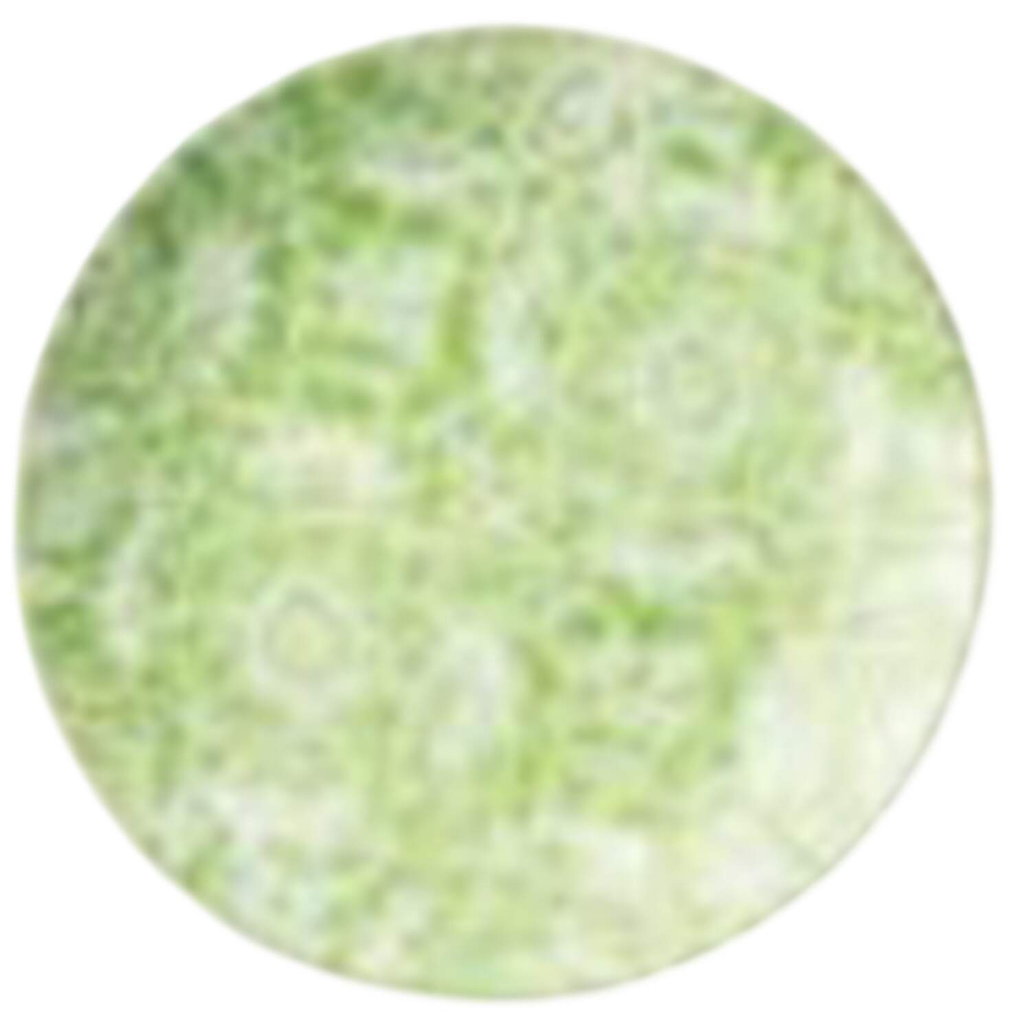 Pavilion Salad Plate by Certified International-1
