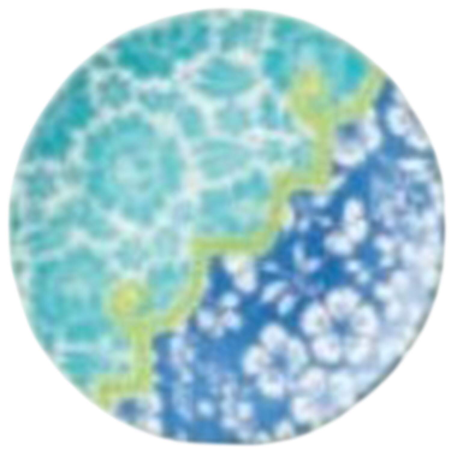 Pavilion Dinner Plate by Certified International-1