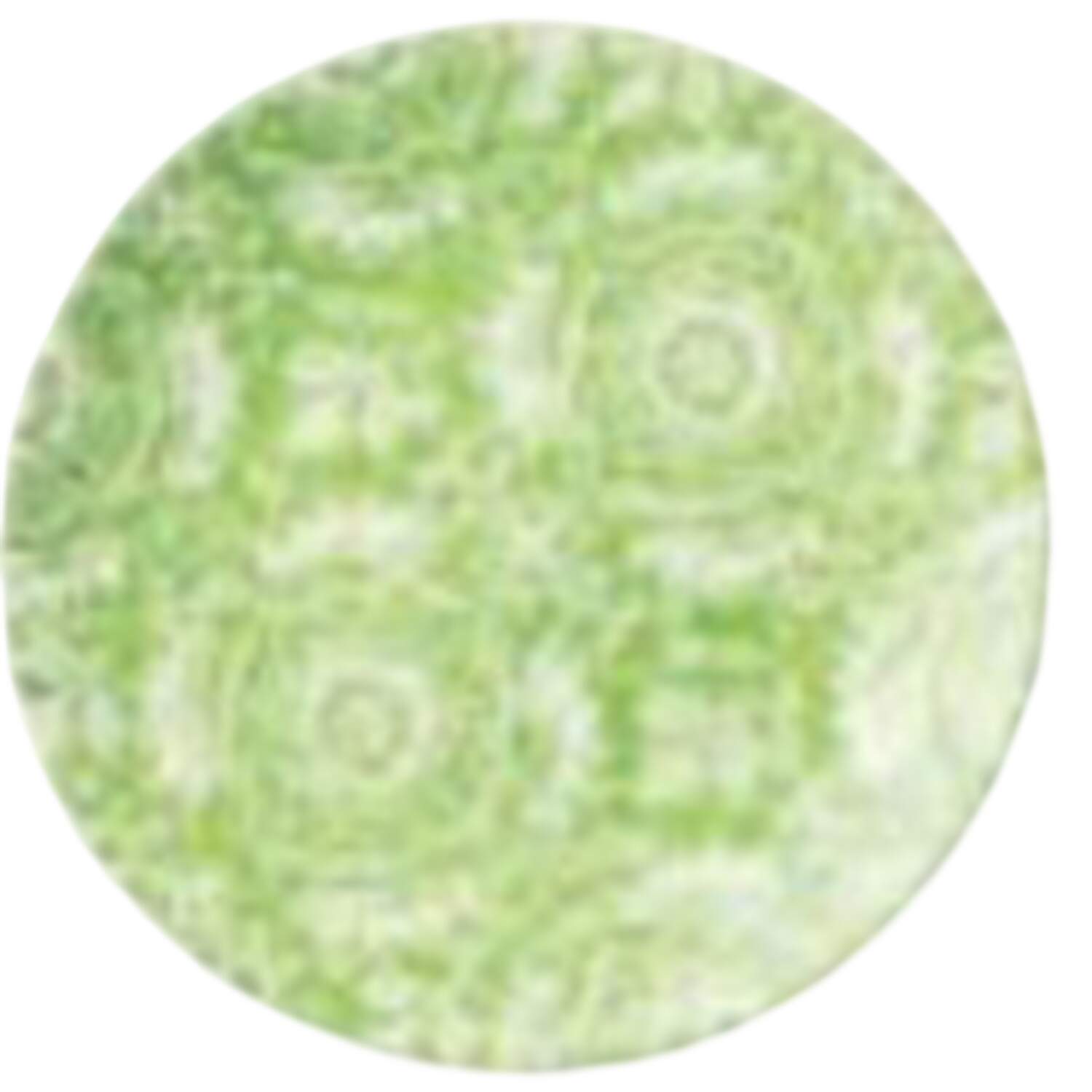 Pavilion Dinner Plate by Certified International-1