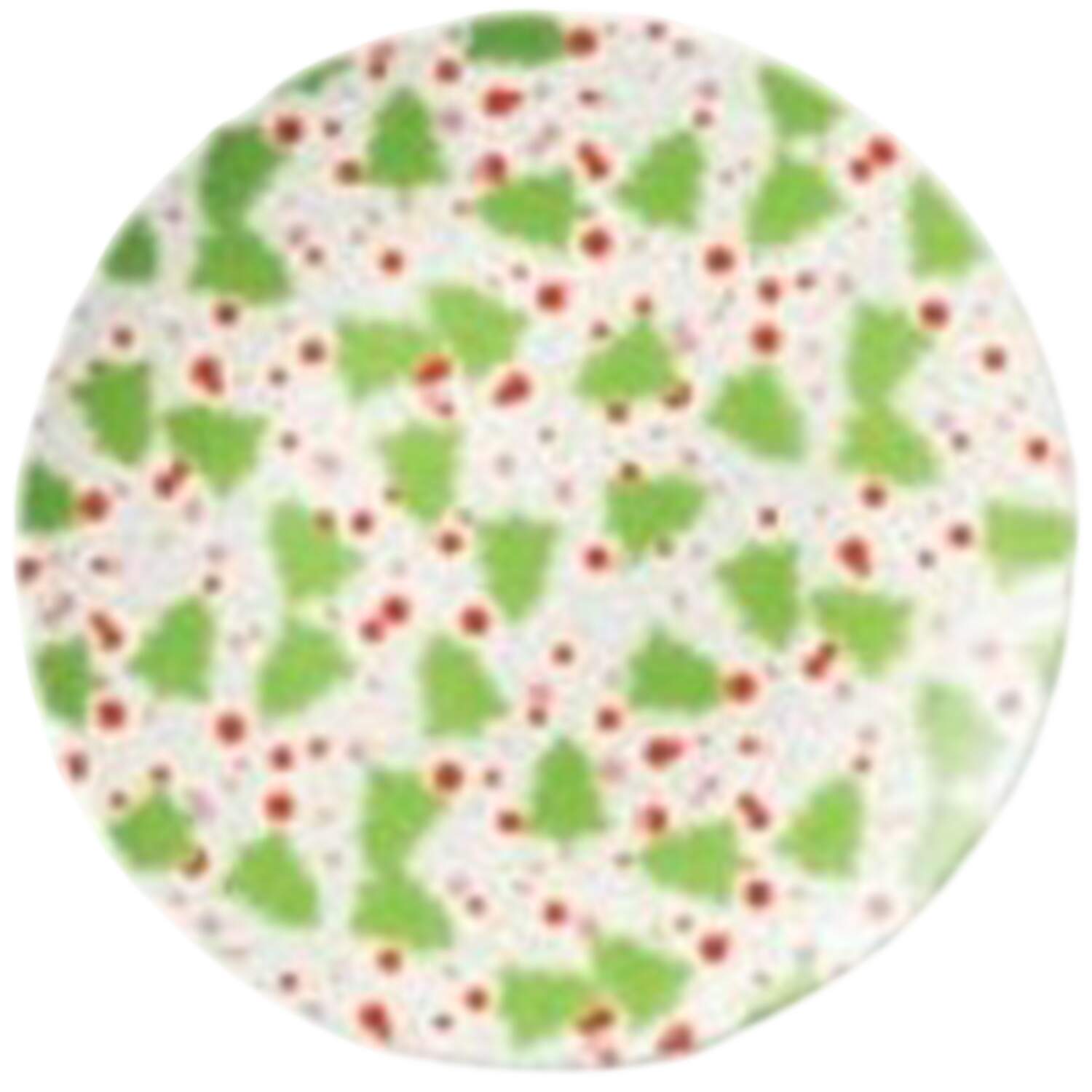 Scarlet Ribbon Dinner Plate by Certified International-1