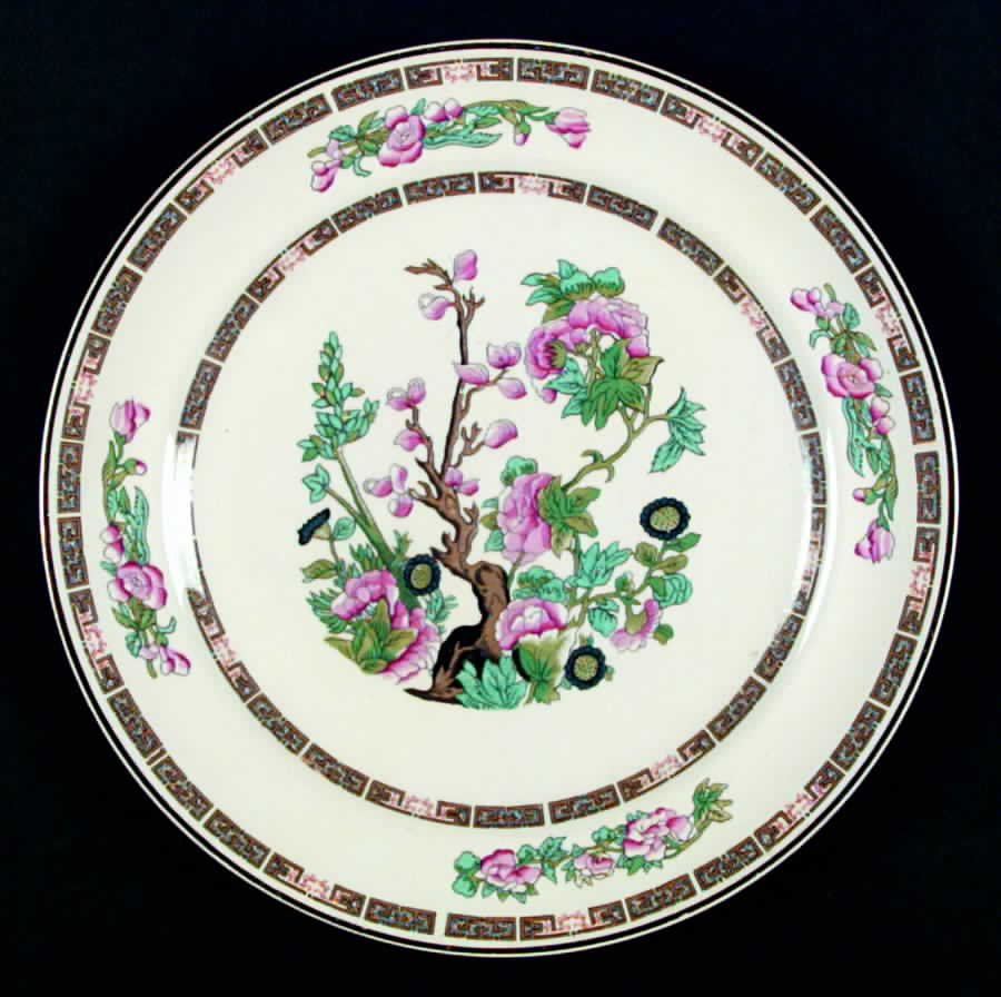 Indian Tree Multicolor Dinner Plate by Davison & Son-1
