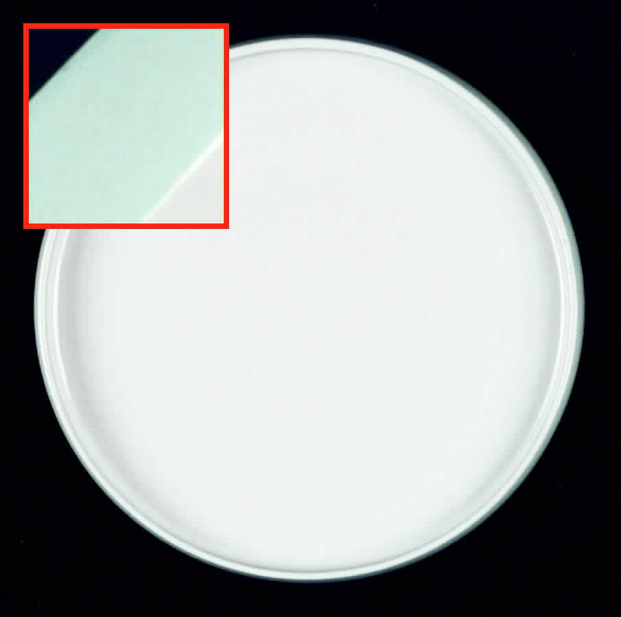 Bornholm Green Salad Plate by Dansk-1