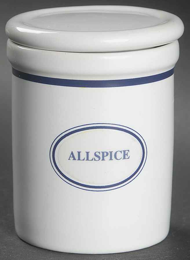Christianshavn Blue Allspice Spice Jar & Lid by Dansk-1