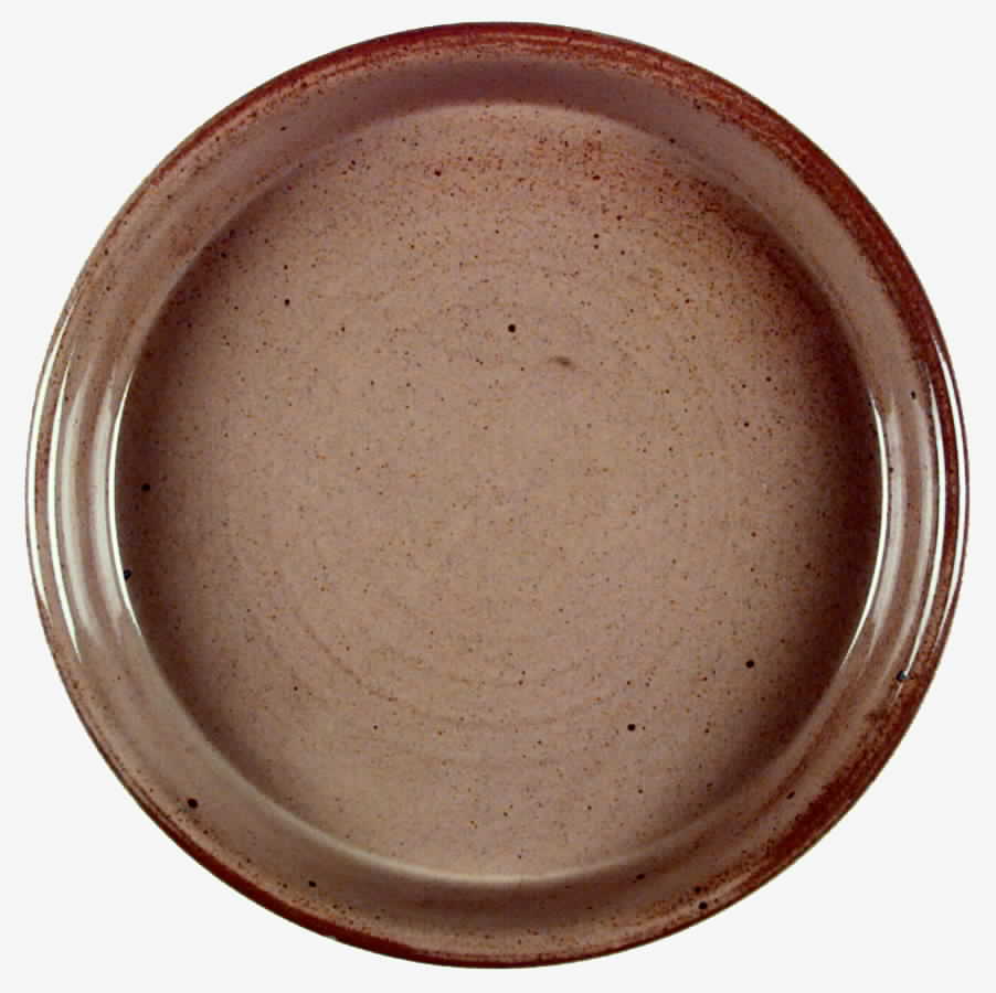 DAN25 Dinner Plate by Dansk-1