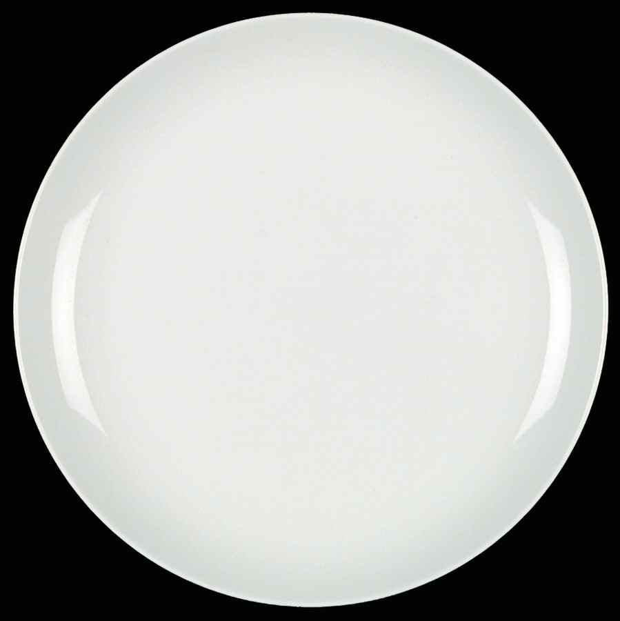 Franck White Dinner Plate by Dansk-1