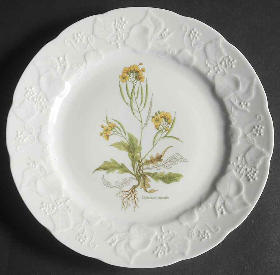 Ivy Accent Luncheon Plate by Dansk-1