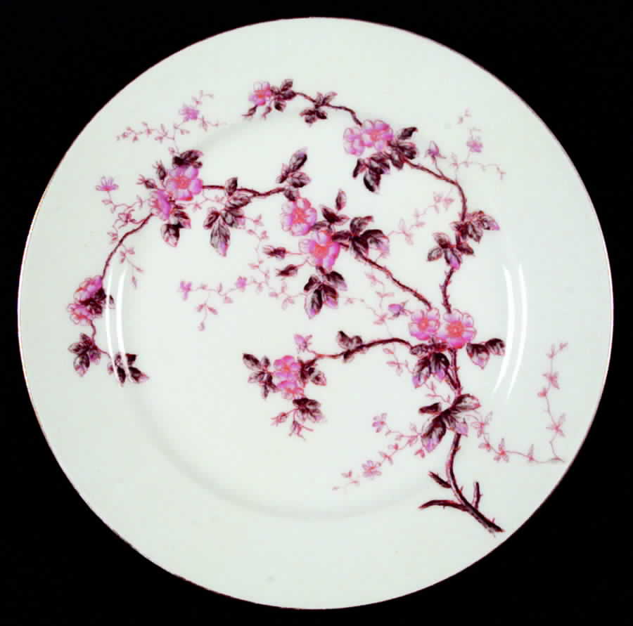 DEI11 Dinner Plate by Delinieres-1