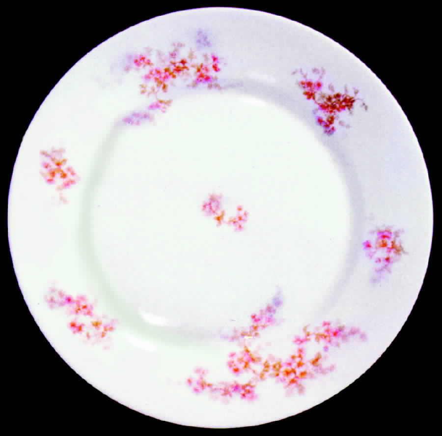 DEI16 Dinner Plate by Delinieres-1