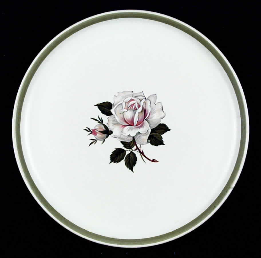 Charm Dinner Plate by Denby-Langley-1