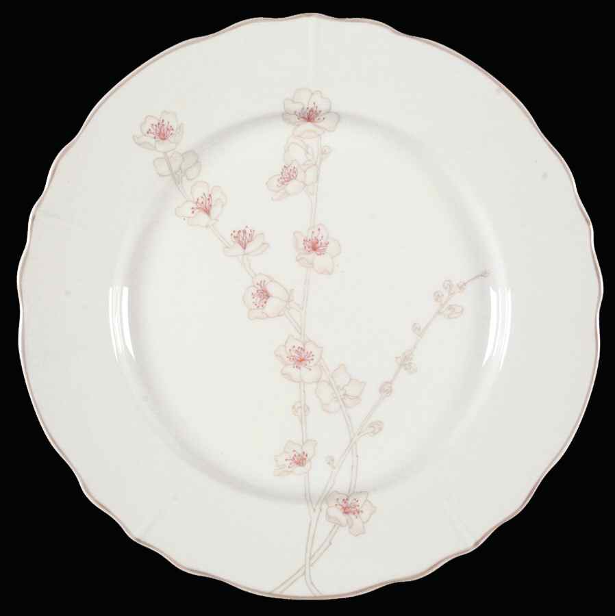 Curiosity Dinner Plate by Denby-Langley-1