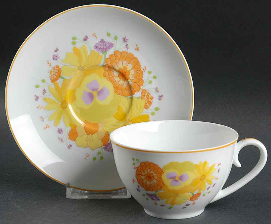 Golden Afternoon Flat Cup & Saucer Set by Denby-Langley-1