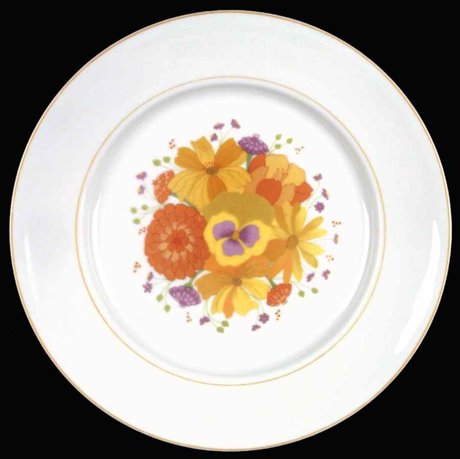 Golden Afternoon Dinner Plate by Denby-Langley-1