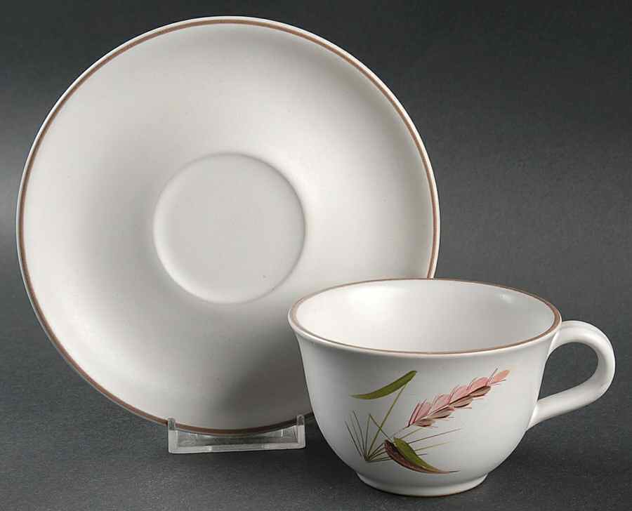 Harvest Flat Cup & Saucer Set by Denby-Langley-1