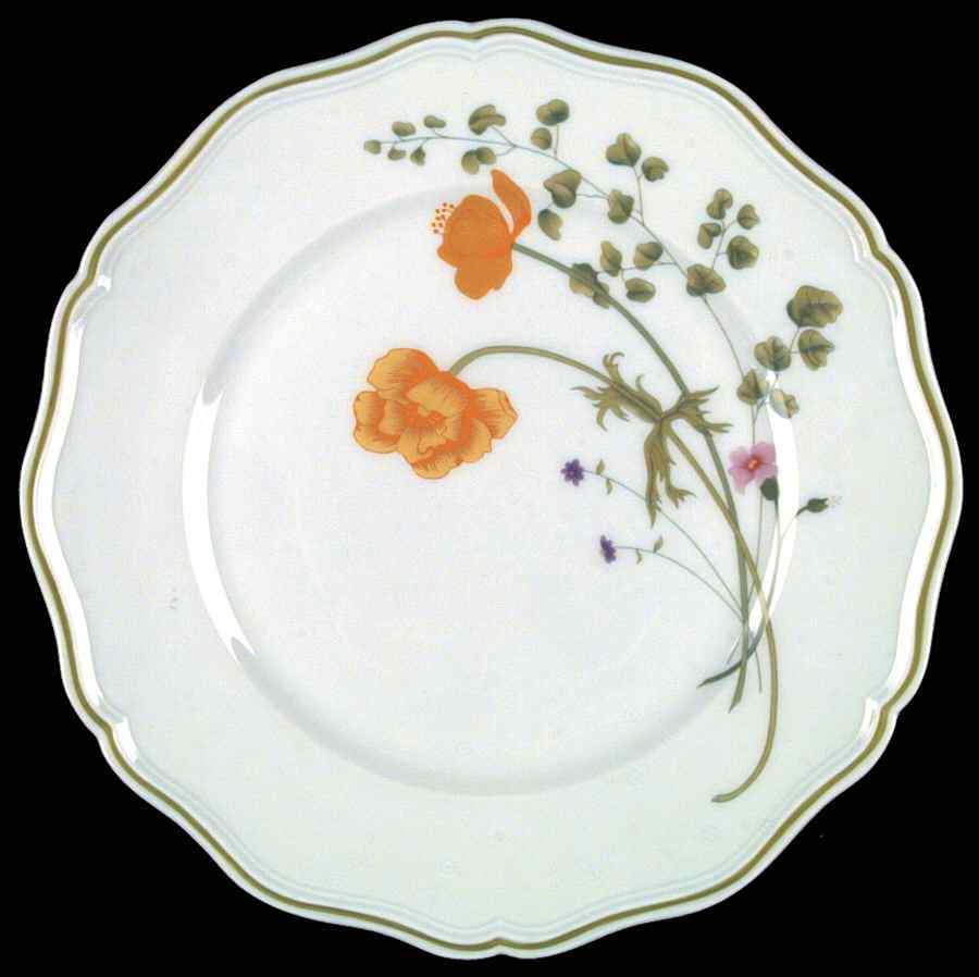 Meadow Bank Dinner Plate by Denby-Langley-1