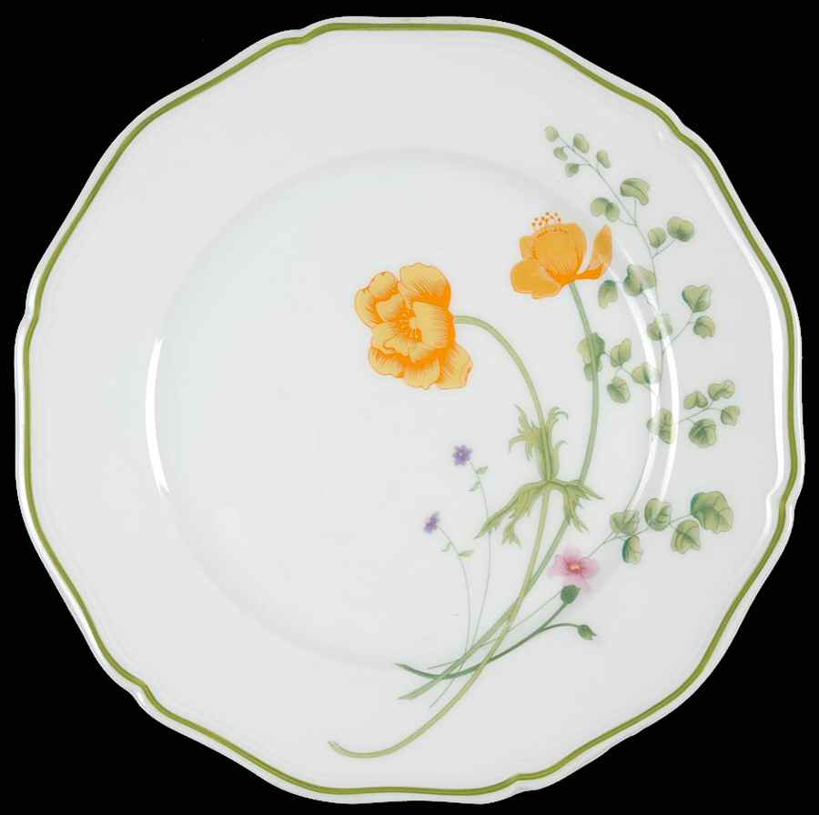 Meadow Bank Salad Plate by Denby-Langley-1